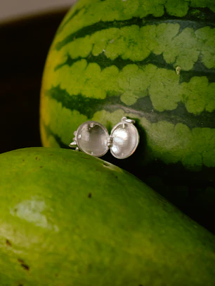 Relicario de Frailejón Plata 