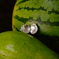 Relicario de Frailejón Plata  - thumbnail 1