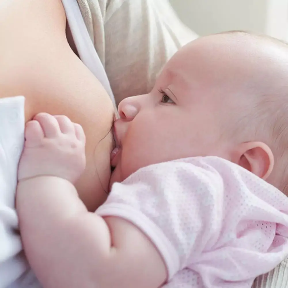 Protector Para Lactancia Pigeon Pack X 2 Uni 2