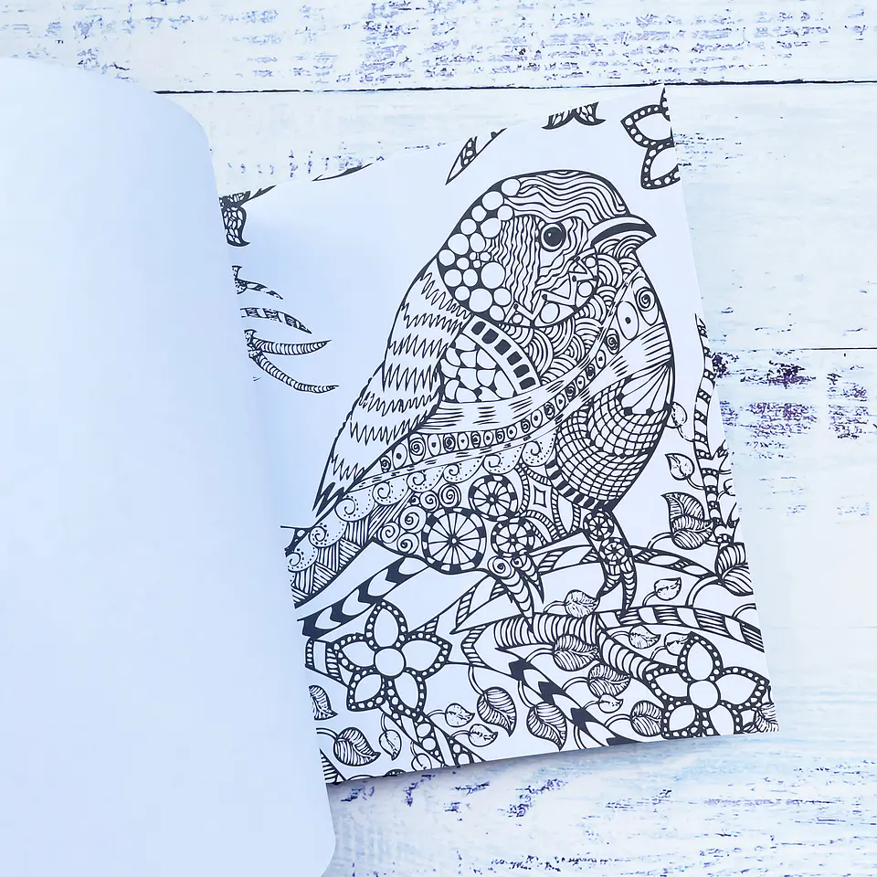 LIBRO PARA COLOREAR DOODLES - ART AND CRAFT 3