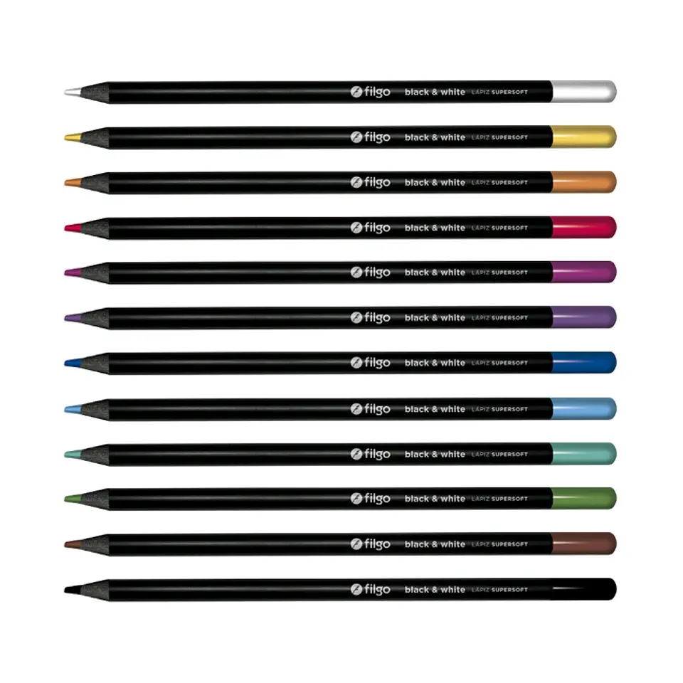 SET 24 LAPICES DE COLORES 