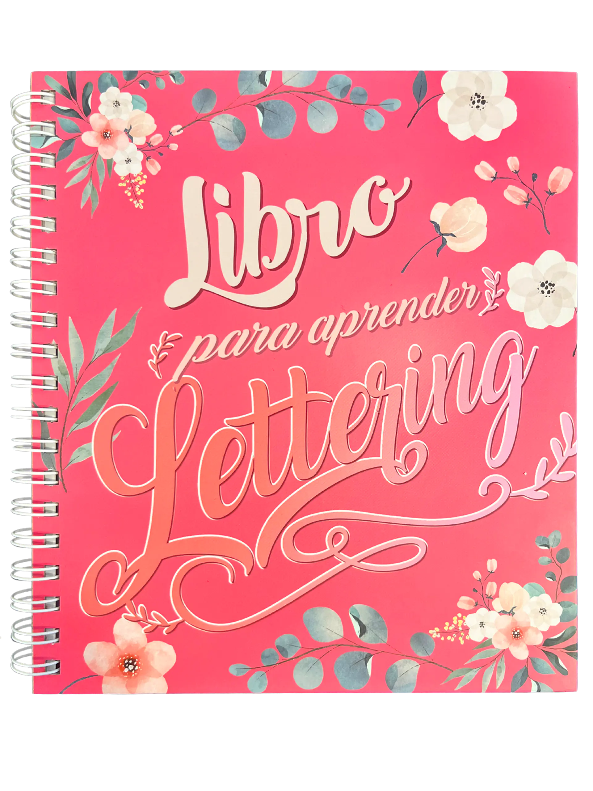 LIBRO PARA APRENDER LETTERING - ART AND CRAFT 1