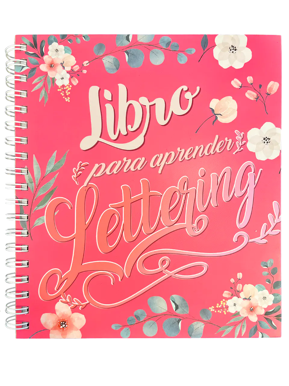 LIBRO PARA APRENDER LETTERING - ART AND CRAFT 1