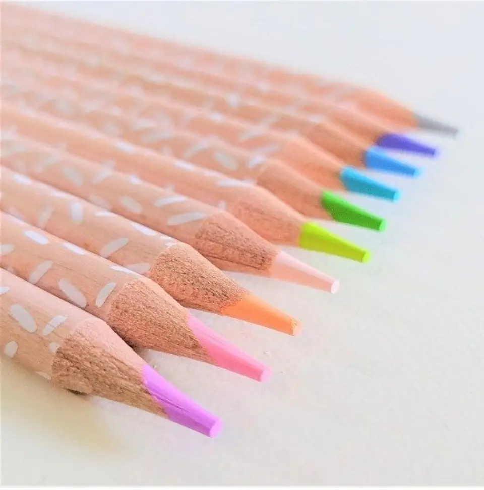 SET 10 LAPICES DE COLORES 