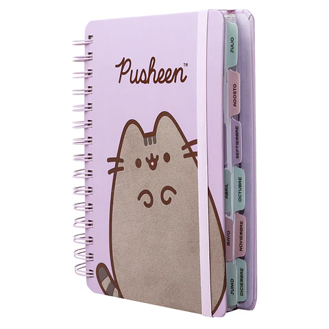 <b>PREVENTA:</b> AGENDA 2027 PUSHEEN - MOOVING