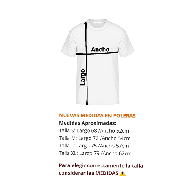 POLERA Regular Clásica N1 Bordada