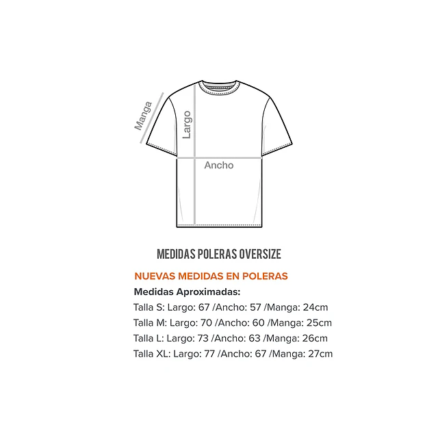 POLERAS OVERSIZE Stussy Bordada