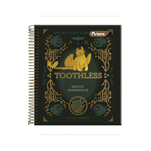 CUADERNO BOOK COMO ENTRENAR A TU DRAGON 7MM 150H TORRE