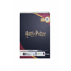 CROQUERA HARRY POTTER 21X32 TORRE 5