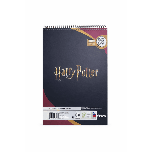 CROQUERA HARRY POTTER 21X32 TORRE 5