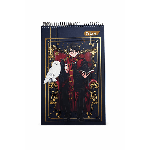 CROQUERA HARRY POTTER 21X32 TORRE