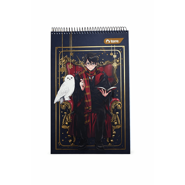 CROQUERA HARRY POTTER 21X32 TORRE 1