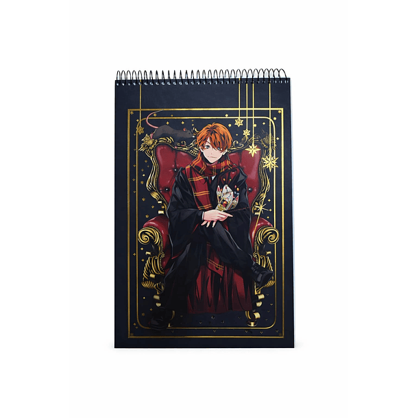 CROQUERA HARRY POTTER 21X32 TORRE 4