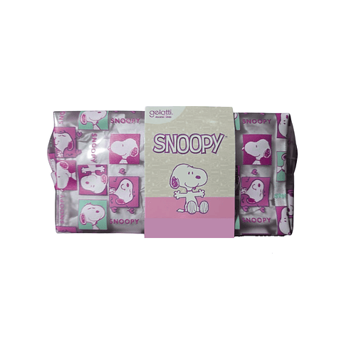 ESTUCHE SNOOPY GELATTI MATTE TRANSPARENTE 21cm