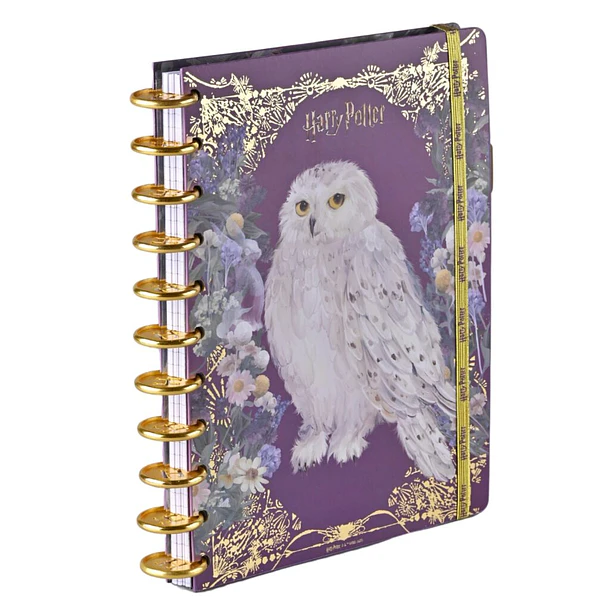 CUADERNO HARRY POTTER DISCOS 100 HOJAS 7MM TORRE 2
