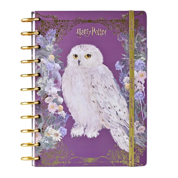 CUADERNO HARRY POTTER DISCOS 100 HOJAS 7MM TORRE 1