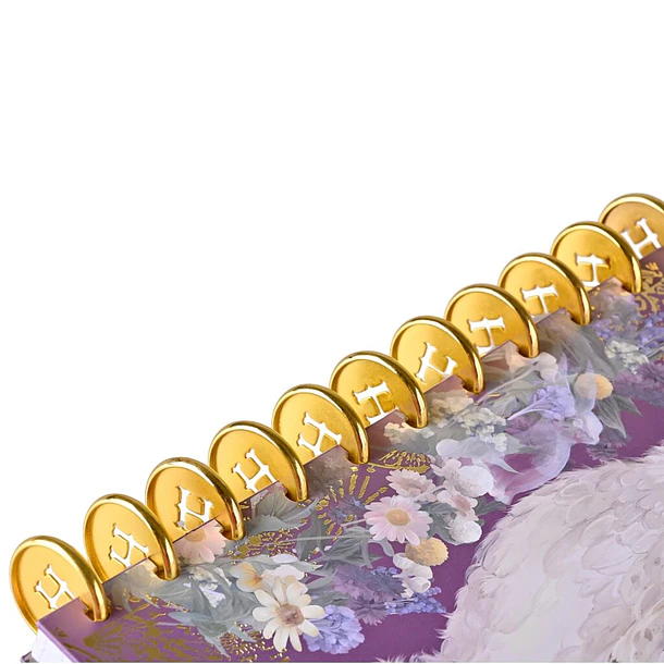 CUADERNO HARRY POTTER DISCOS 100 HOJAS 7MM TORRE 4