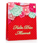 BOLSAS DE REGALO DÍA DE LAS MADRES SURTIDA 30X40CM UND 5
