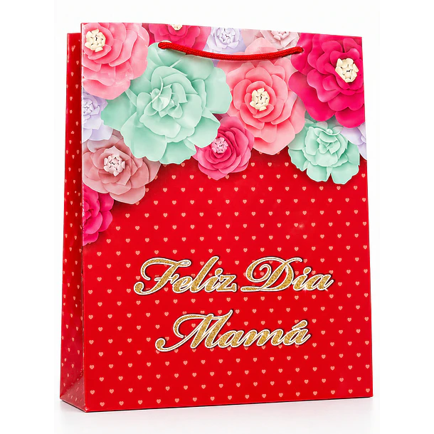 BOLSA REGALO DIA DE LAS MADRES 30X40 DOCENA SURTIDA 2