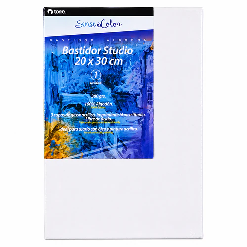 BASTIDOR ESTUDIO 20X30 SENSE OF COLOR TORRE
