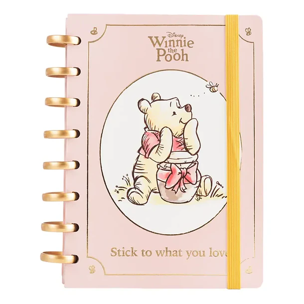 CUADERNO DE DISCOS WINNIE THE POOH A5 80 HOJAS 1