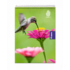 CUADERNO TORRE TOP ZURDOS 7MM 120 HOJAS 7MM 1