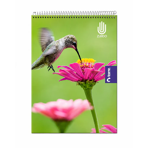 CUADERNO TORRE TOP ZURDOS 7MM 120 HOJAS 7MM