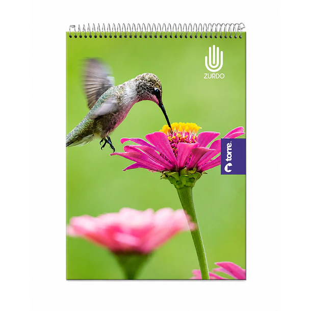 CUADERNO TORRE TOP ZURDOS 7MM 120 HOJAS 7MM 1