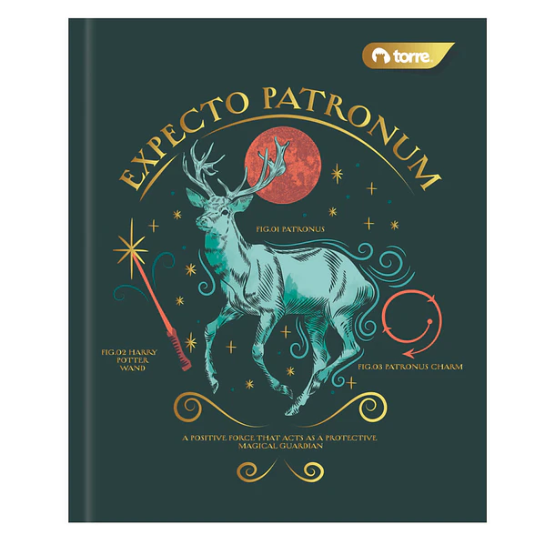 CUADERNO 1/2 OFICIO 5MM 250H HARRY POTTER TORRE SURTIDO 3