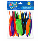 PLUMAS LARGAS COLORES SURTIDOS 10-15 CM 50 UNIDADES 1