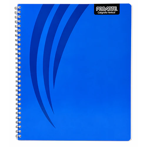 CUADERNO CALIGRAFÍA VERTICAL 100 HOJAS PROARTE PACK 10
