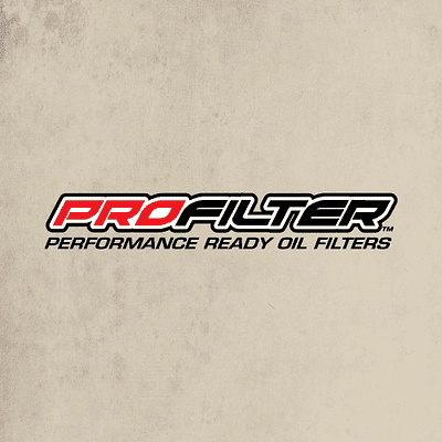 Filtro de Aceite ProFilter para CF Moto Nk400, Nk 650 (Pf 177)
