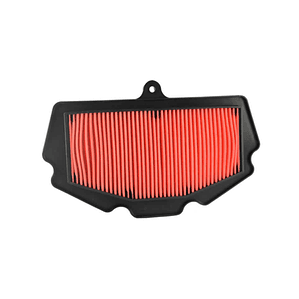 Filtro de Aire Champion para Ninja 400, Z400, Ninja 500 (CAF1406)