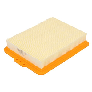 Filtro de Aire Champion para BMW F850Gs, F750Gs (CAF6801)