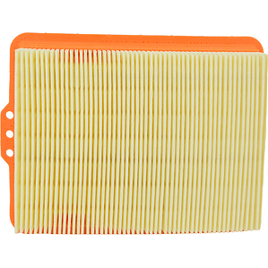 Filtro de Aire Champion para BMW F850Gs, F750Gs (CAF6801)