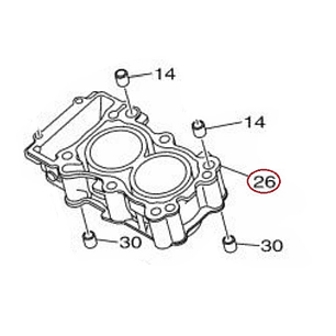 Cilindro Estándar Yamaha R3, R3A, MT-03, MT-03A. Yamaha Genuino