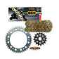 Kit de Transmisión BMW G310Gs - G310R. Regina -  PBR Italy - Miniatura 1
