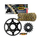 Kit de Transmisión KTM Duke 250, 250 Adv. Regina - PBR Italy - Miniatura 1