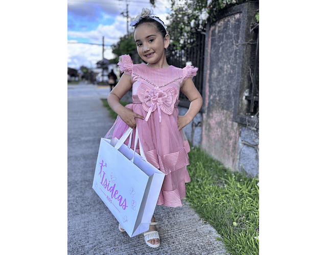 Vestido Auriel Rosa Palo 