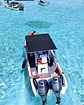 LINEA NAUTICA - Miniatura 4