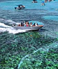 LINEA NAUTICA - Miniatura 2