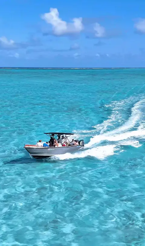 LINEA NAUTICA