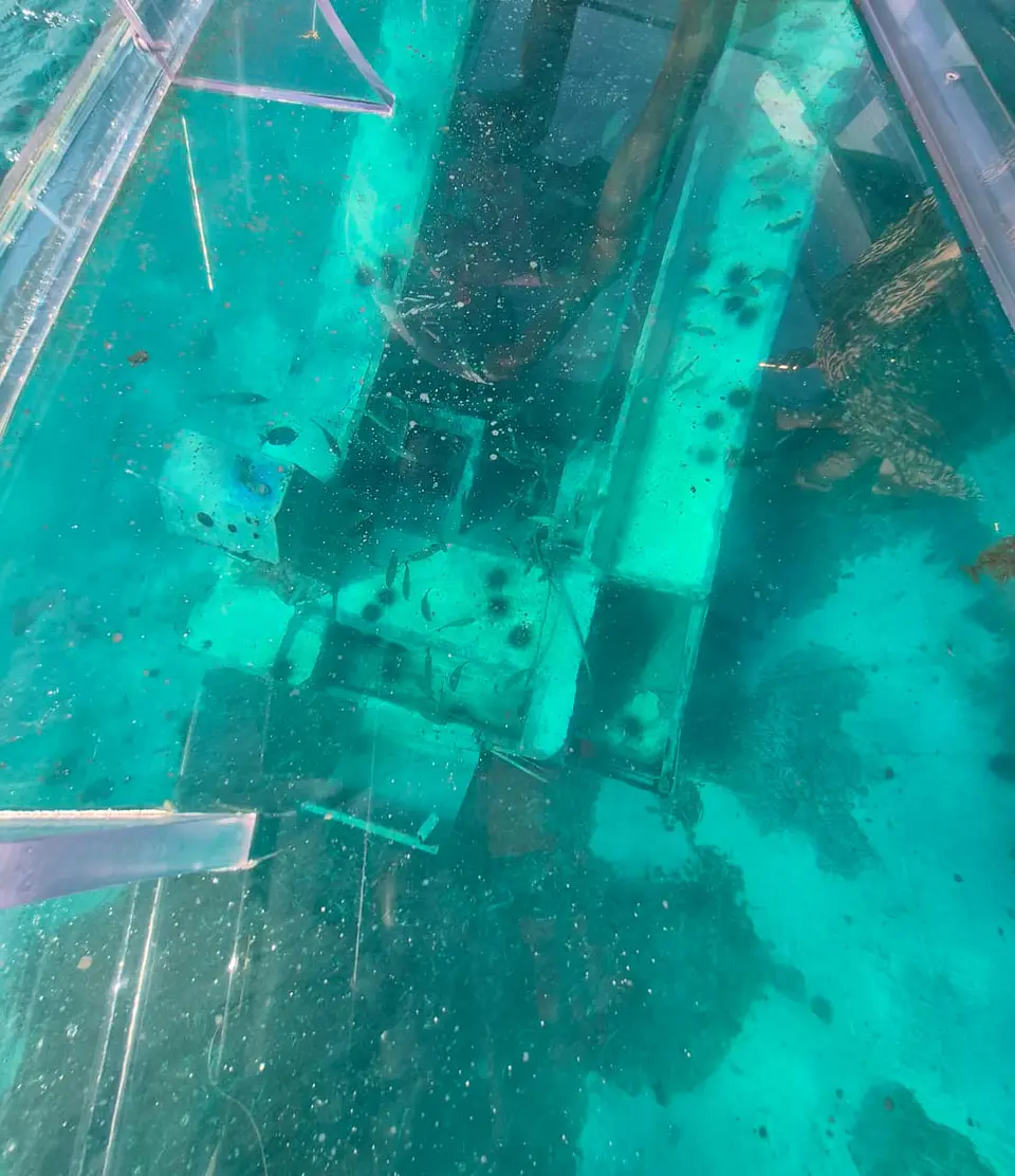 CRISTAL CLEAR BOAT 5