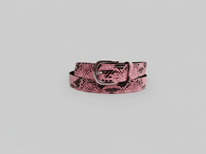 Cinturón Clásico, variedad en colores 3