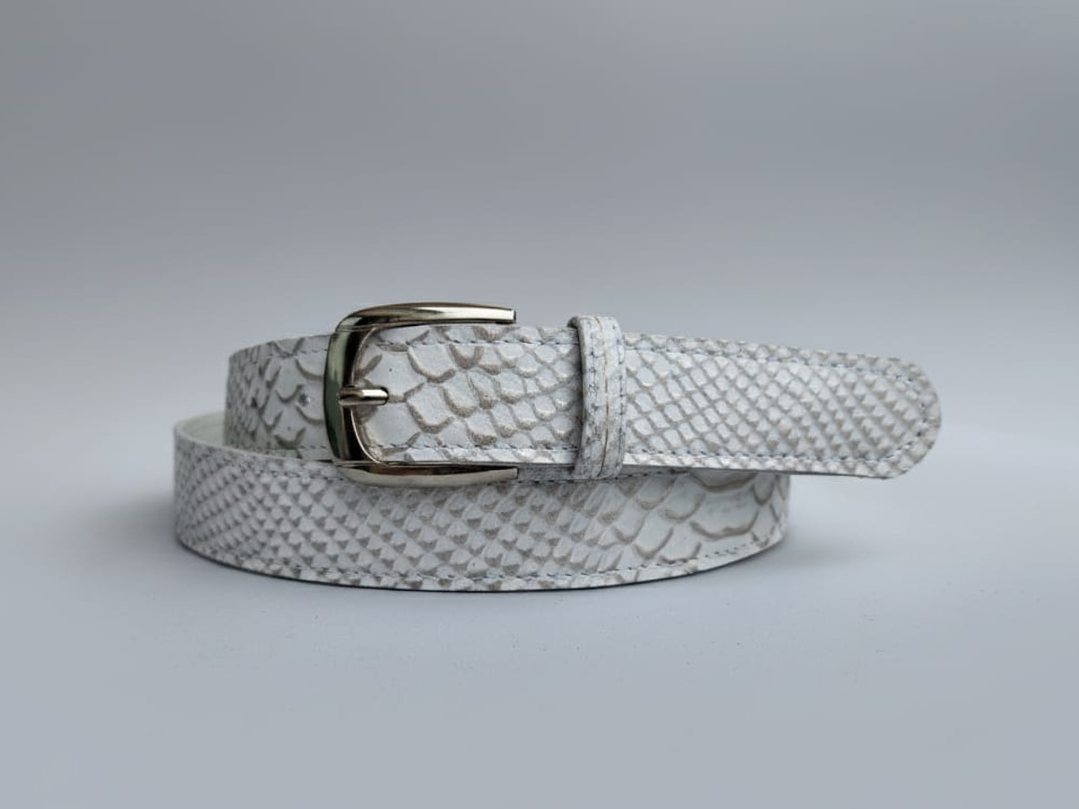 Cinturón Clásico, variedad en colores 6