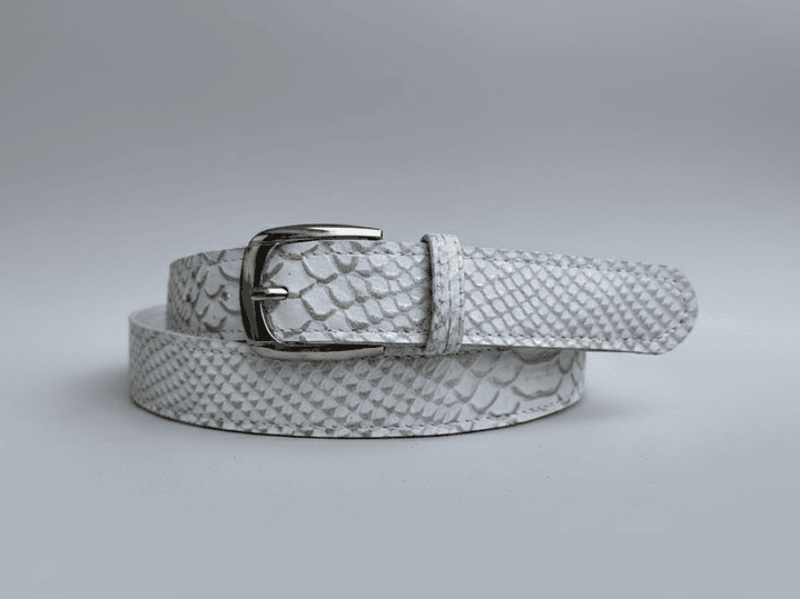 Cinturón Clásico, variedad en colores 6