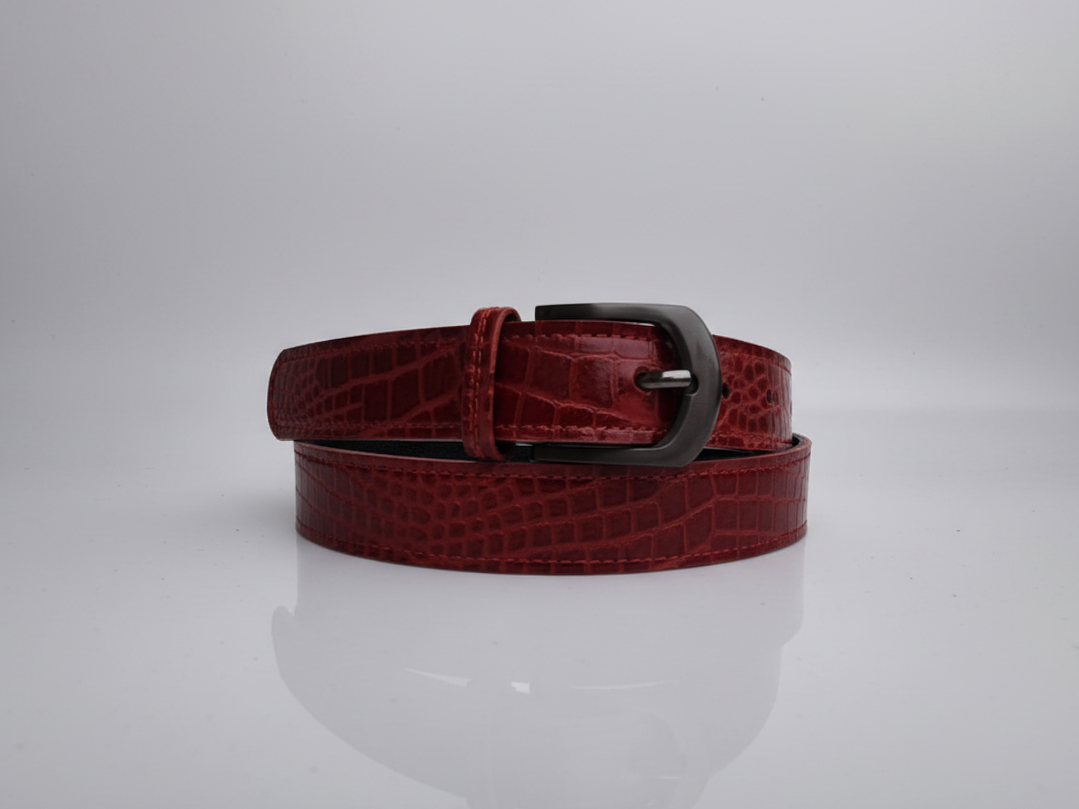 Cinturón Clásico, variedad en colores 7