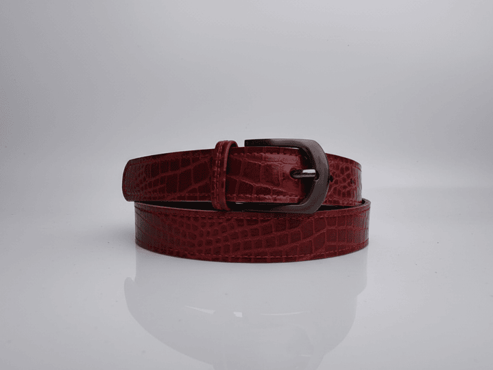 Cinturón Clásico, variedad en colores 7