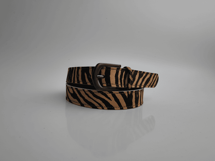 Cinturón Clásico, variedad en colores 8