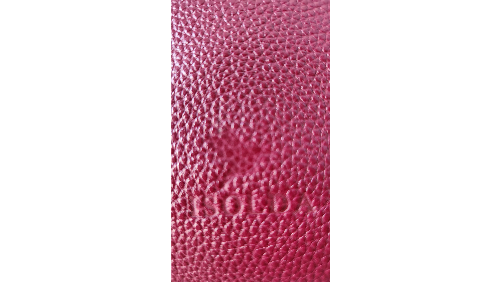 Cartera Isolda  - Bolso Compacto Níquel 4